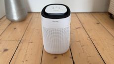 Lakeland Dehumidifier and Air Purifier