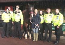 horse-trust-officers.jpg