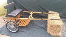 StolenCart.jpg