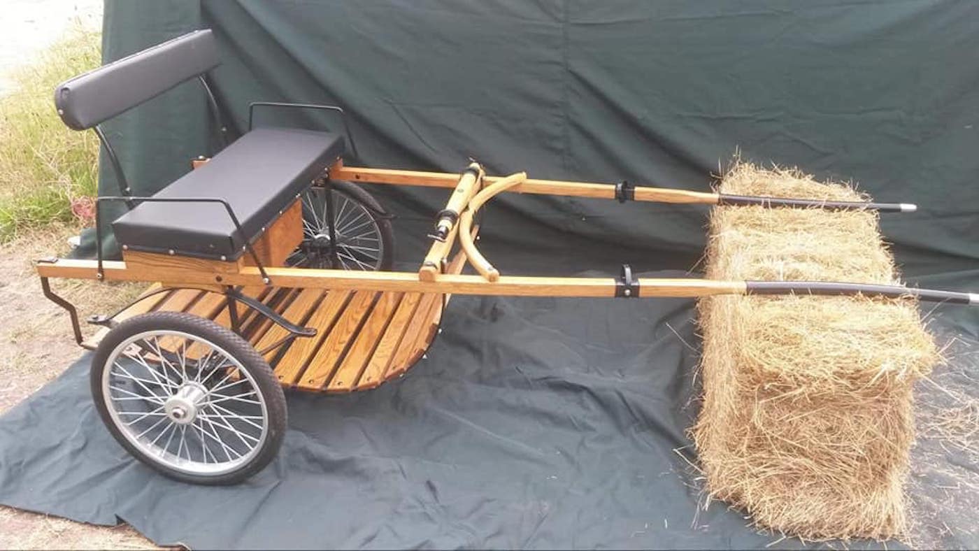 StolenCart.jpg