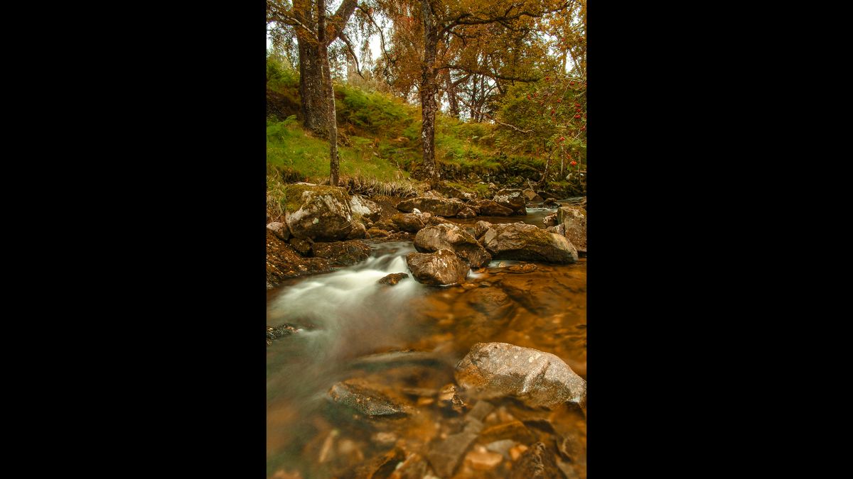 three images of woodland streams, framed by trees