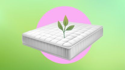 Organic mattress graphic with mattress and plant coming out of it 