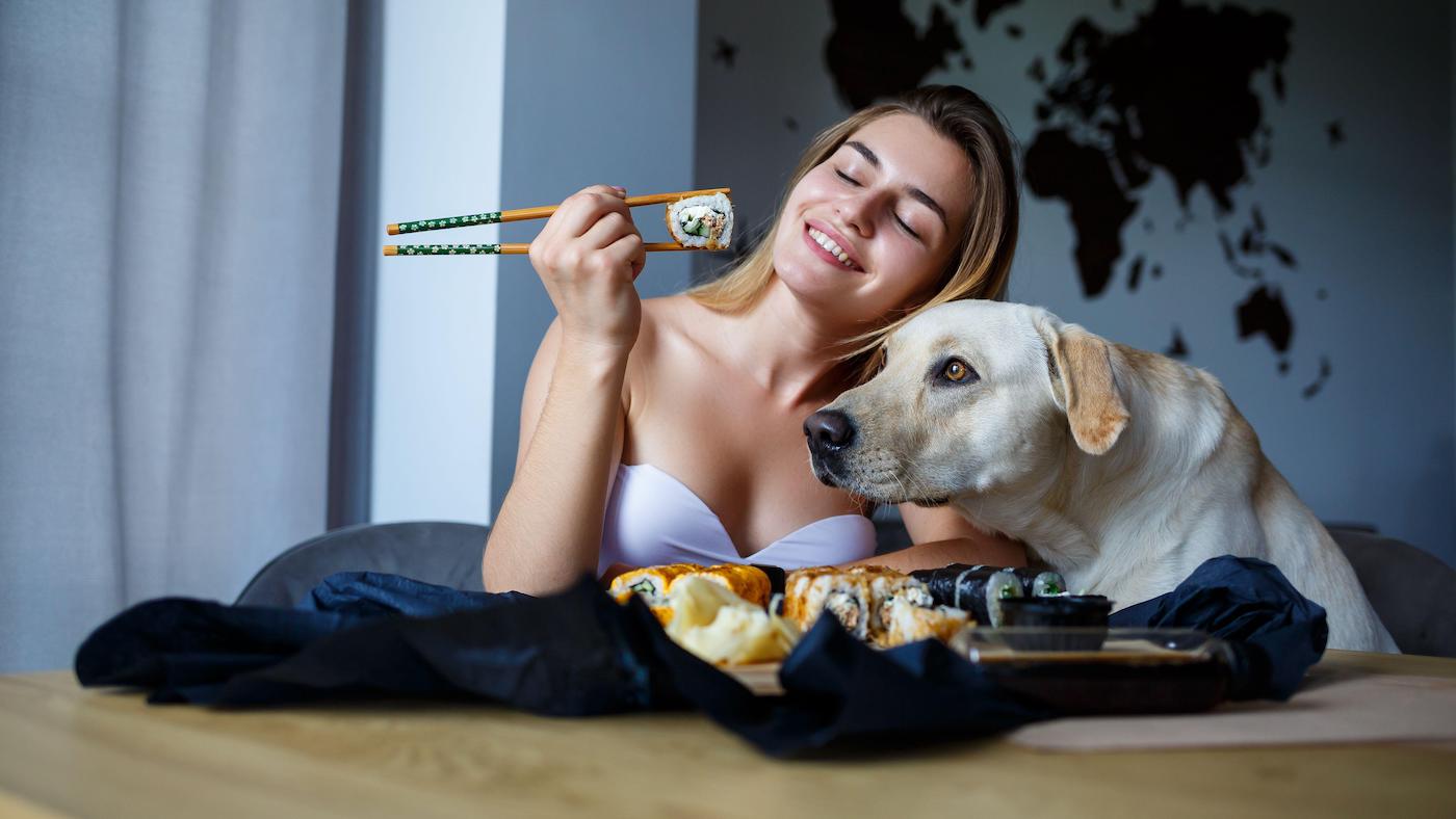 cost of owning dog includes feeding