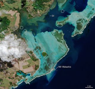 The Copernicus Sentinel-2 captured this image on Aug. 11 of the island of Mauritius, which has declared a "state of environmental emergency" following an oil spill, from space. In the image, you can see the vessel MV Wakashio, which was reported to be carrying about 4,000 tons of oil, stranded near an important wetland area.