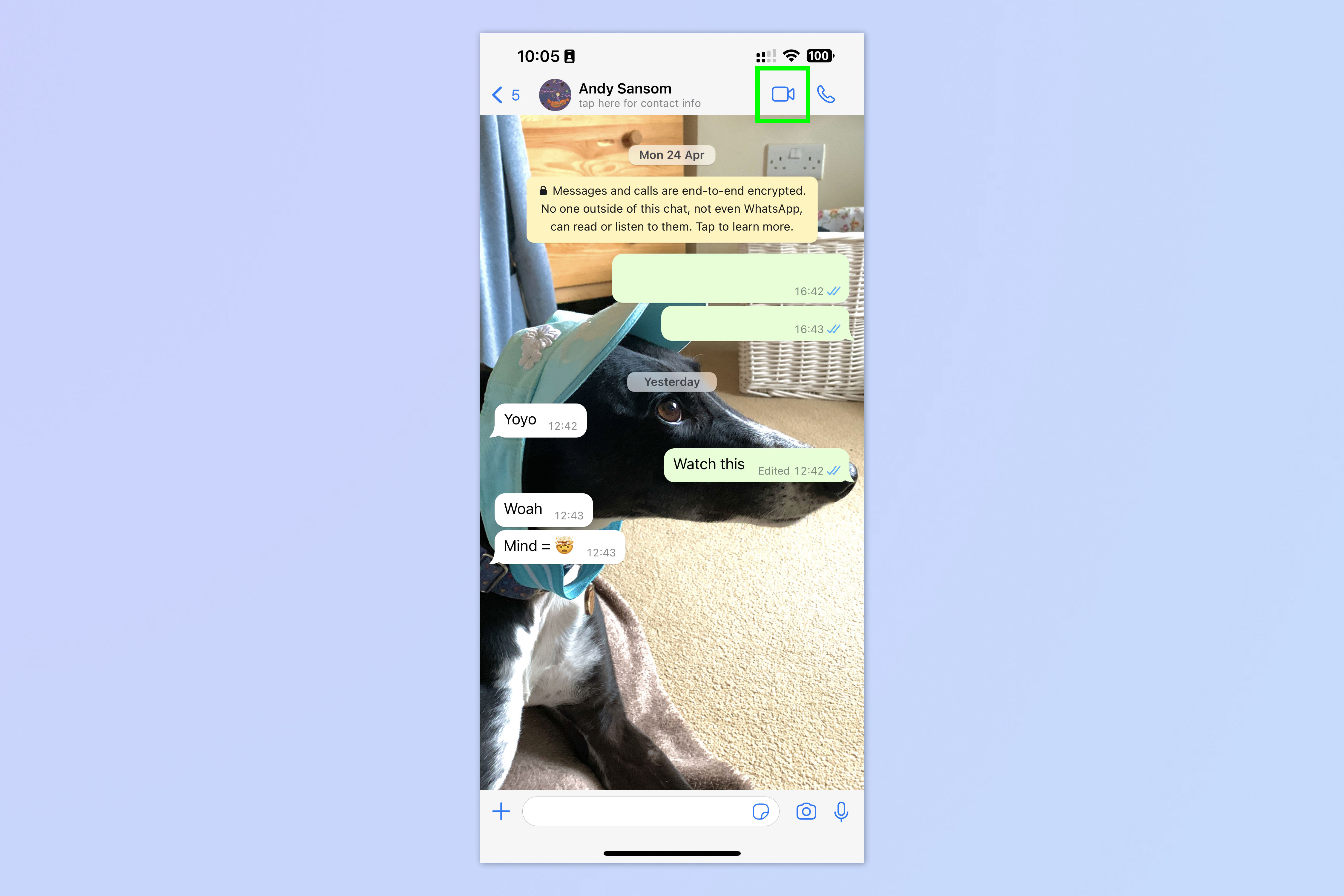 Скриншот, показывающий, как сделать видеозвонок в WhatsApp