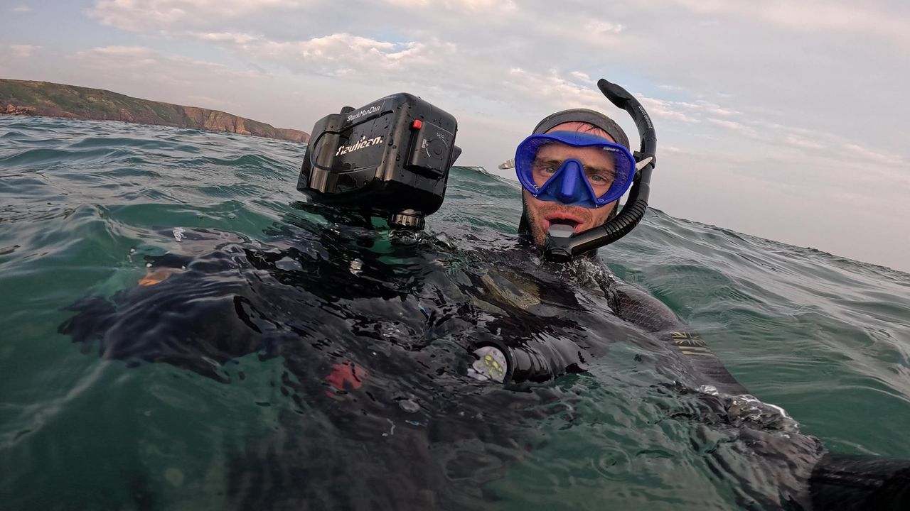 Dan Abbott with whales and sharks