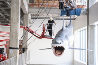 A shark mold used to make the movie Jaws