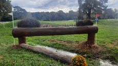 Pau Horse Trials cross-country course changes
