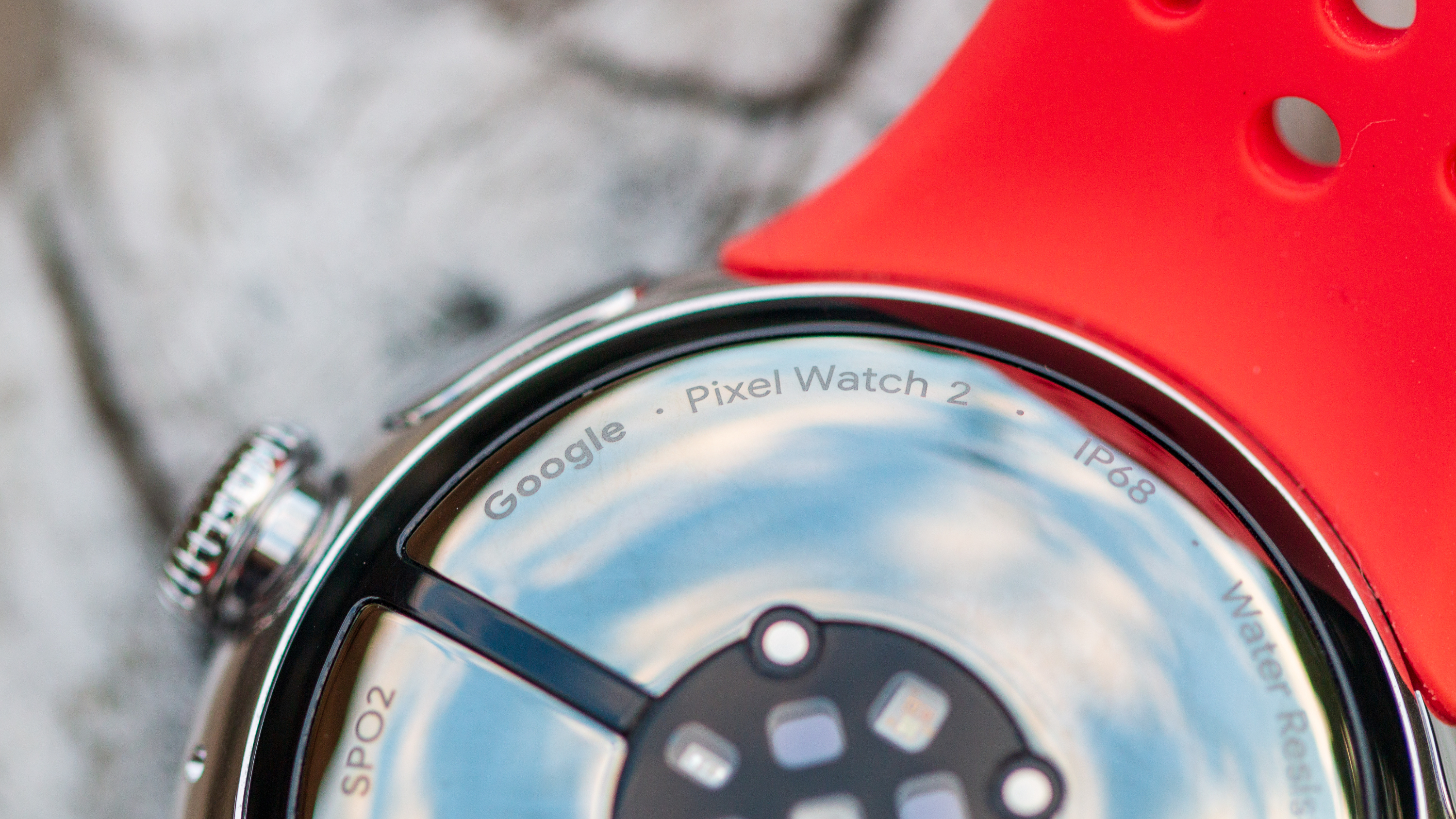 Google Pixel Watch: Release Date, Price, Specs, and News
