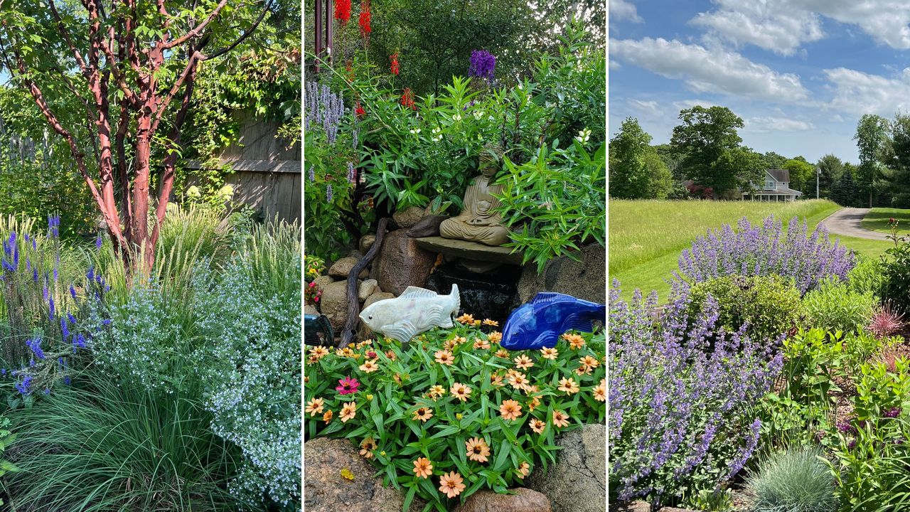 Three brilliant sensory garden ideas with lots of colour, texture, fish in water and green grass and colorful flowers