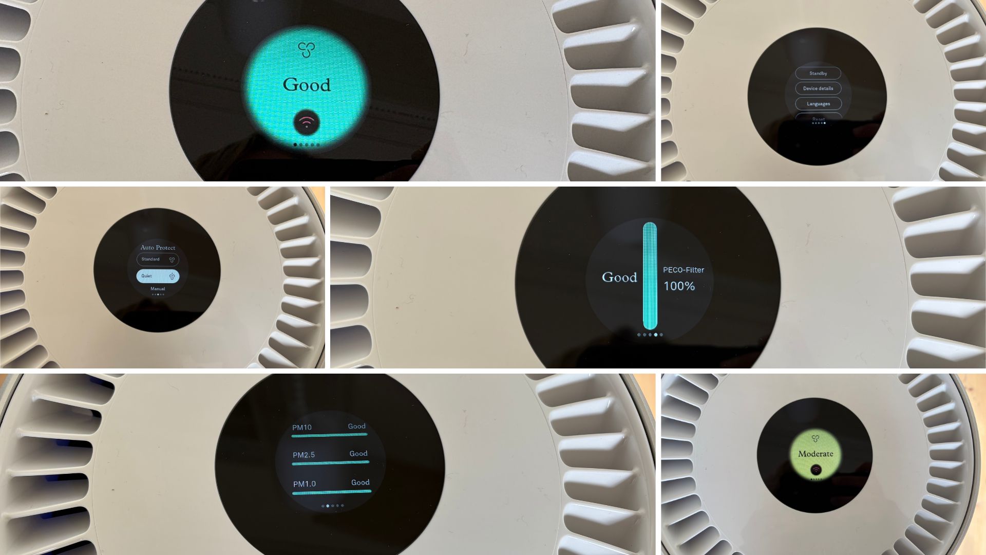 Testing the Molekule Air Pro Air Purifier