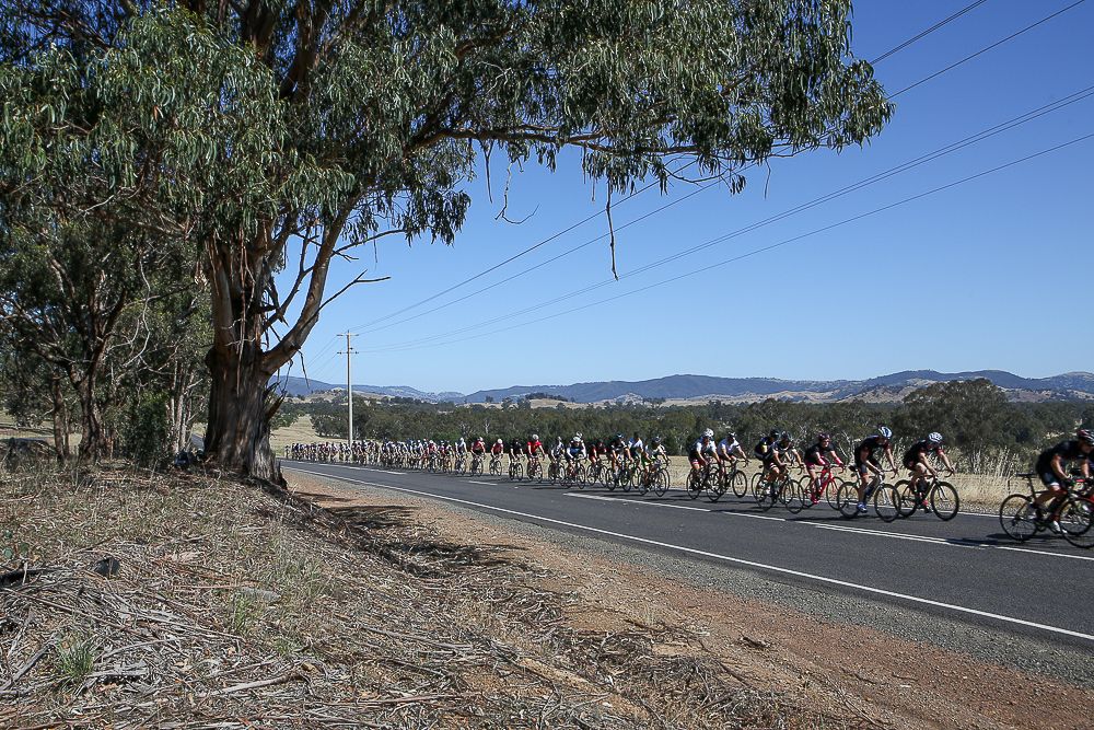 River &amp; Ranges Winery Ride at Mitchelton Winery, Nagambie, Victoria, Australia, Sunday, November, 22, 2015.