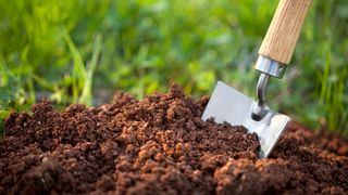 Picture of trowel in soil