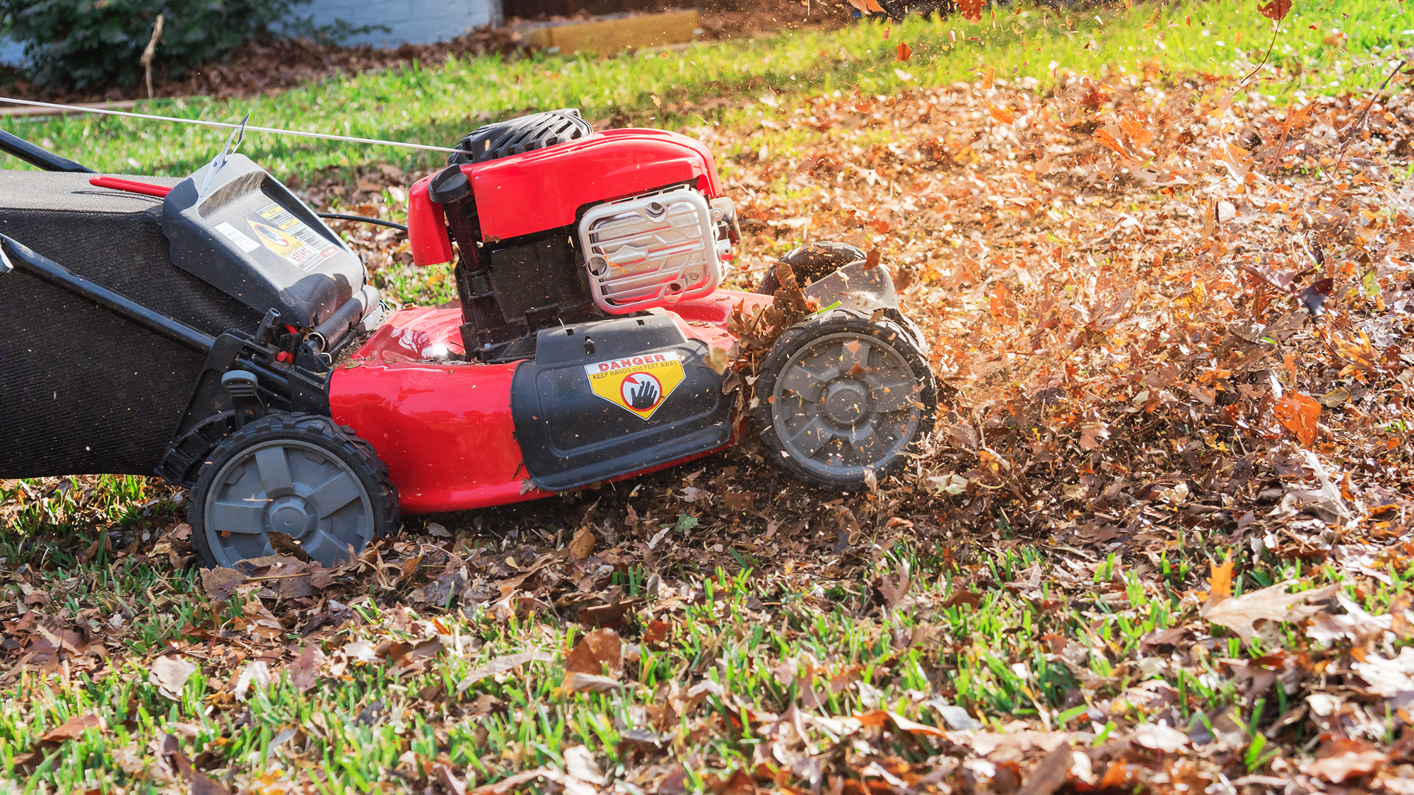 Lawn mower mulching fall leaves