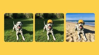 Three sample images show a Dalmatian sitting in the grass, an AI edit with the dog wearing a hat, and another AI edit with the dog sitting on a beach