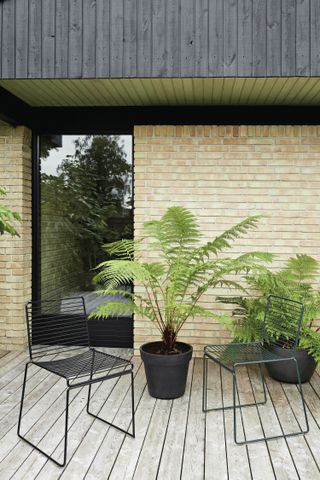 ferns and chairs from Nest in courtyard
