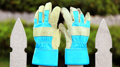 The best gardening gloves 2022: image depicts gardening gloves on top of picket fence