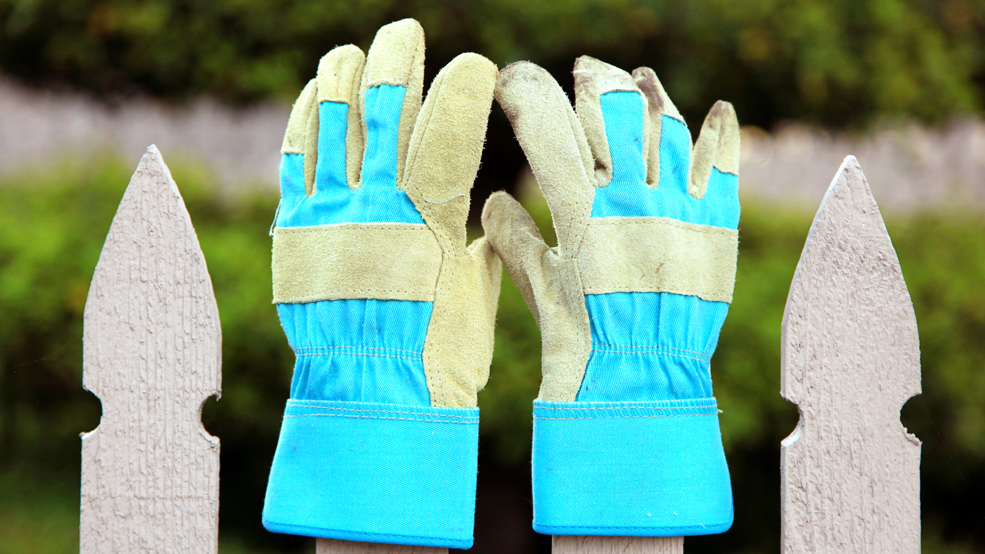 best gloves for digging