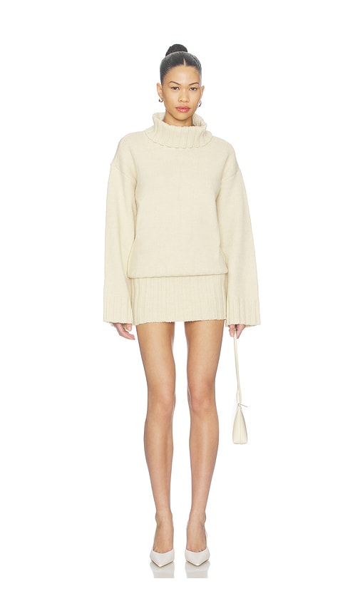 Rouson Knit Turtleneck Dress