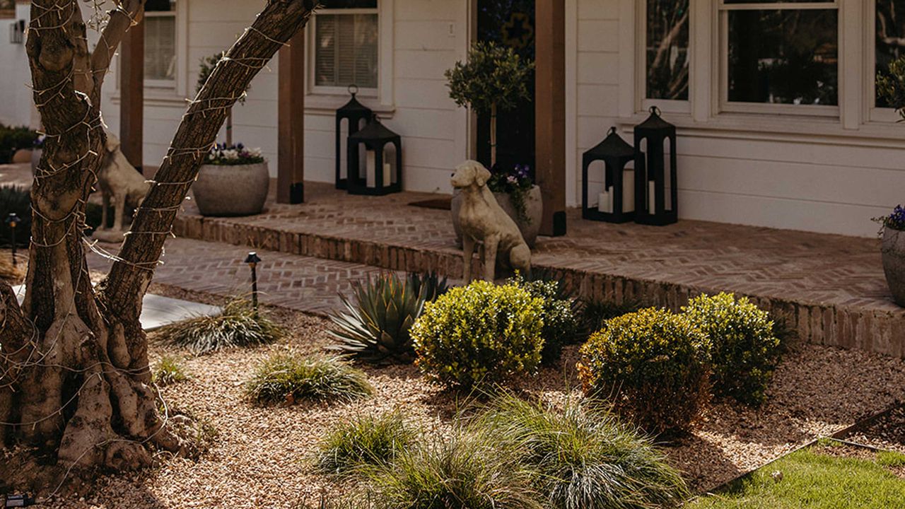 a front yard with low maintenance plants