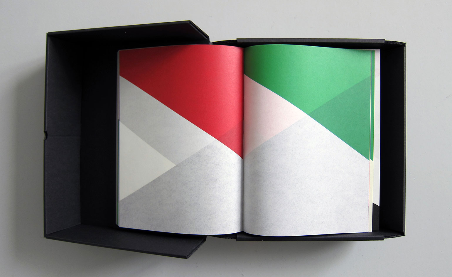 a tribute to her inspiration, Ellsworth Kelly, who died last December.