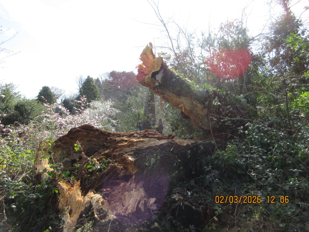 A photo taken on a Canon PowerShot Elph 360 HS A / IXUS 285 HS A compact camera