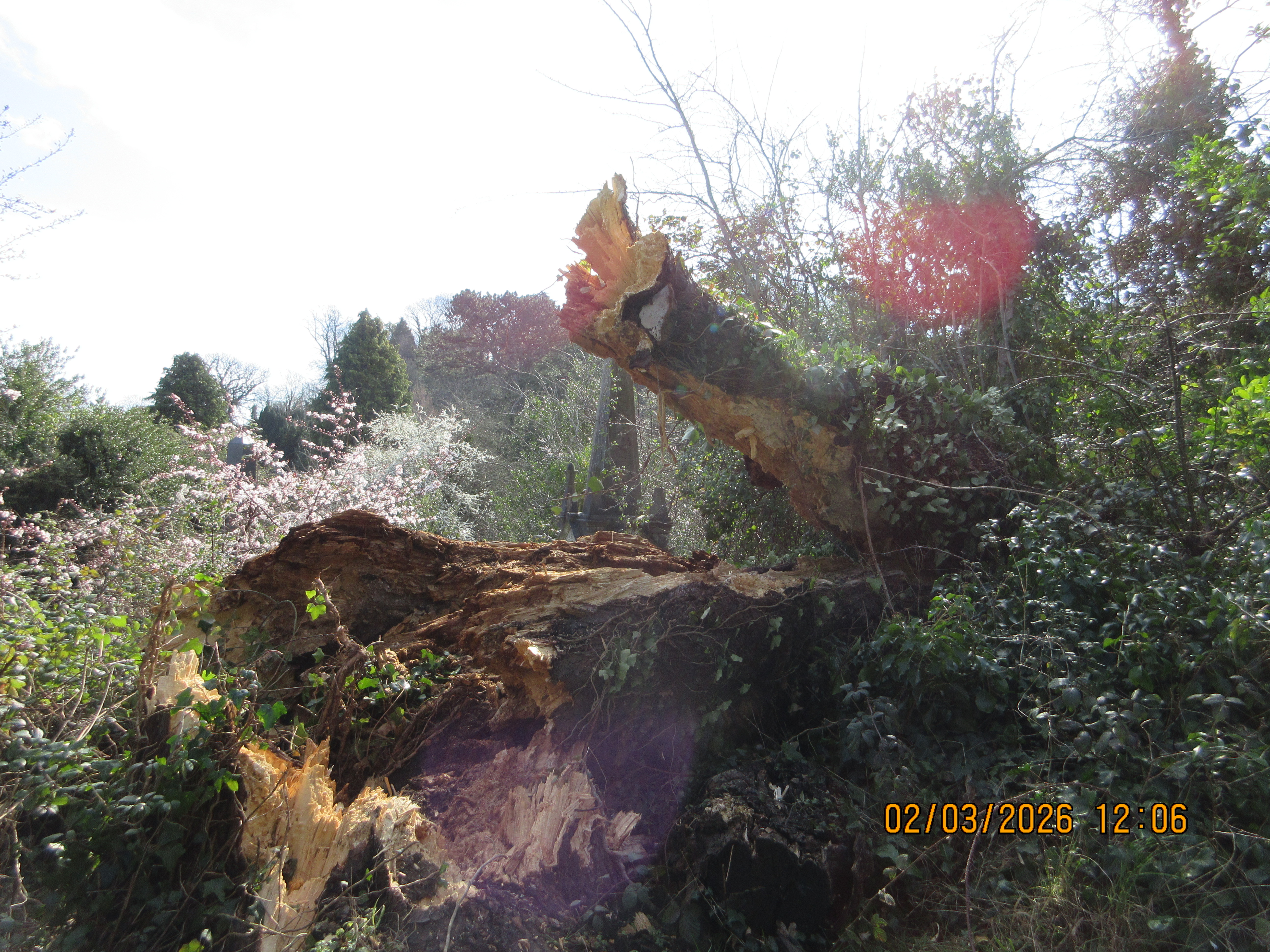 A photo taken on a Canon PowerShot Elph 360 HS A / IXUS 285 HS A compact camera