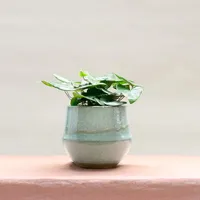 14. Plant Subscription Box