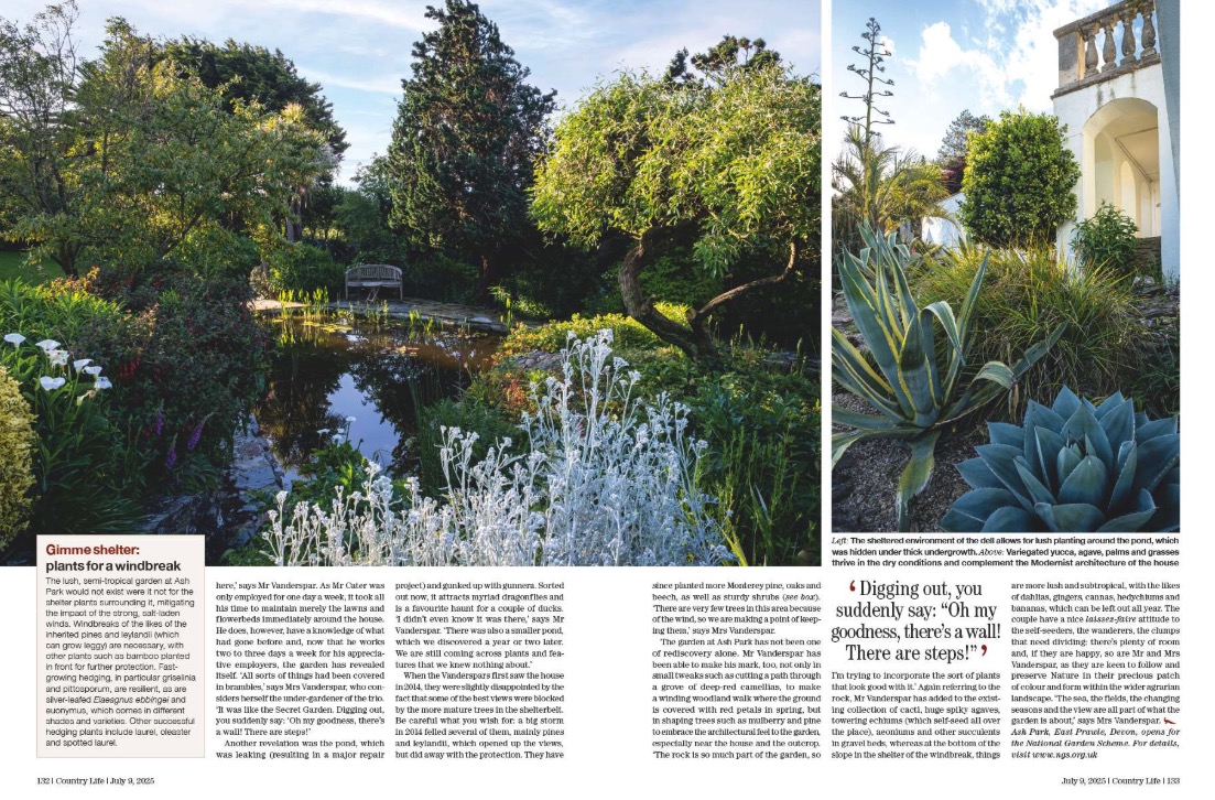 Magazine spread from Country Life 9 July 2025