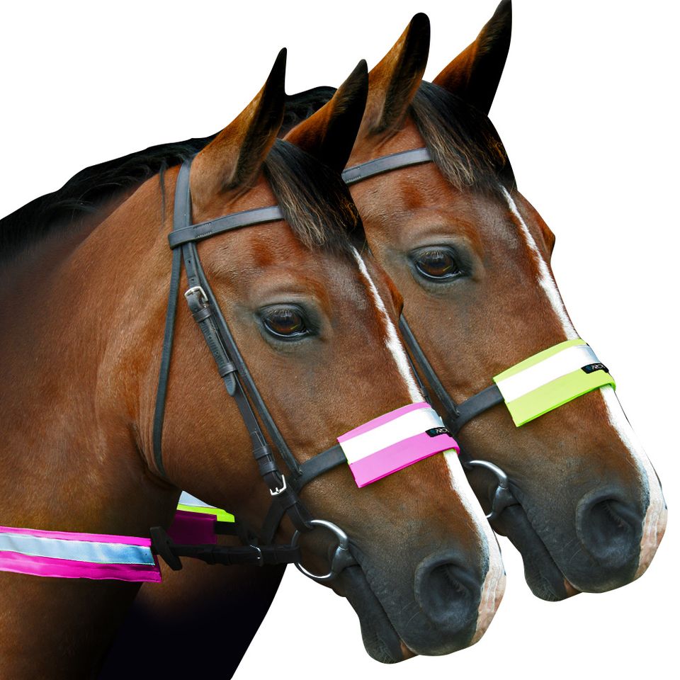 Proviz nosebands