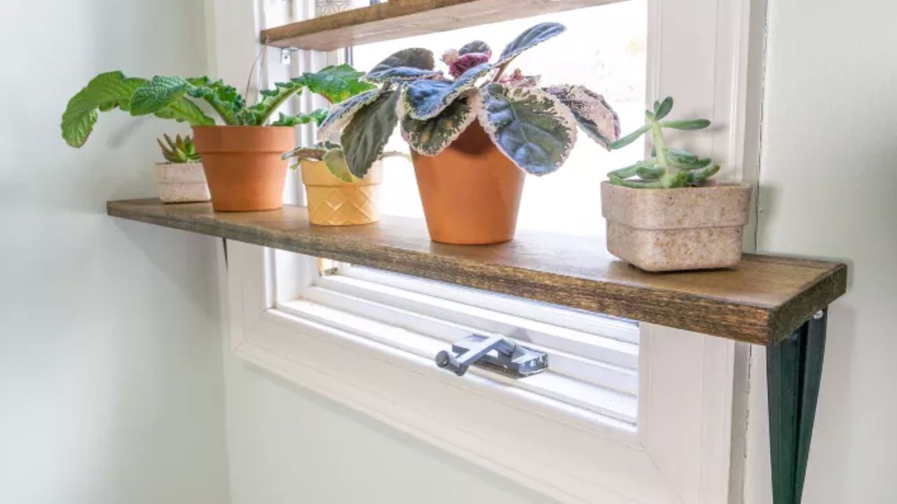 DIY plant shelf