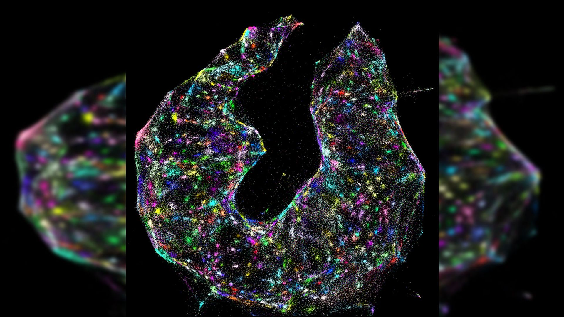 Cells Shimmer Like A Thousand Ice Cream Sprinkles In Gorgeous New Dna Microscope Images Live 4126