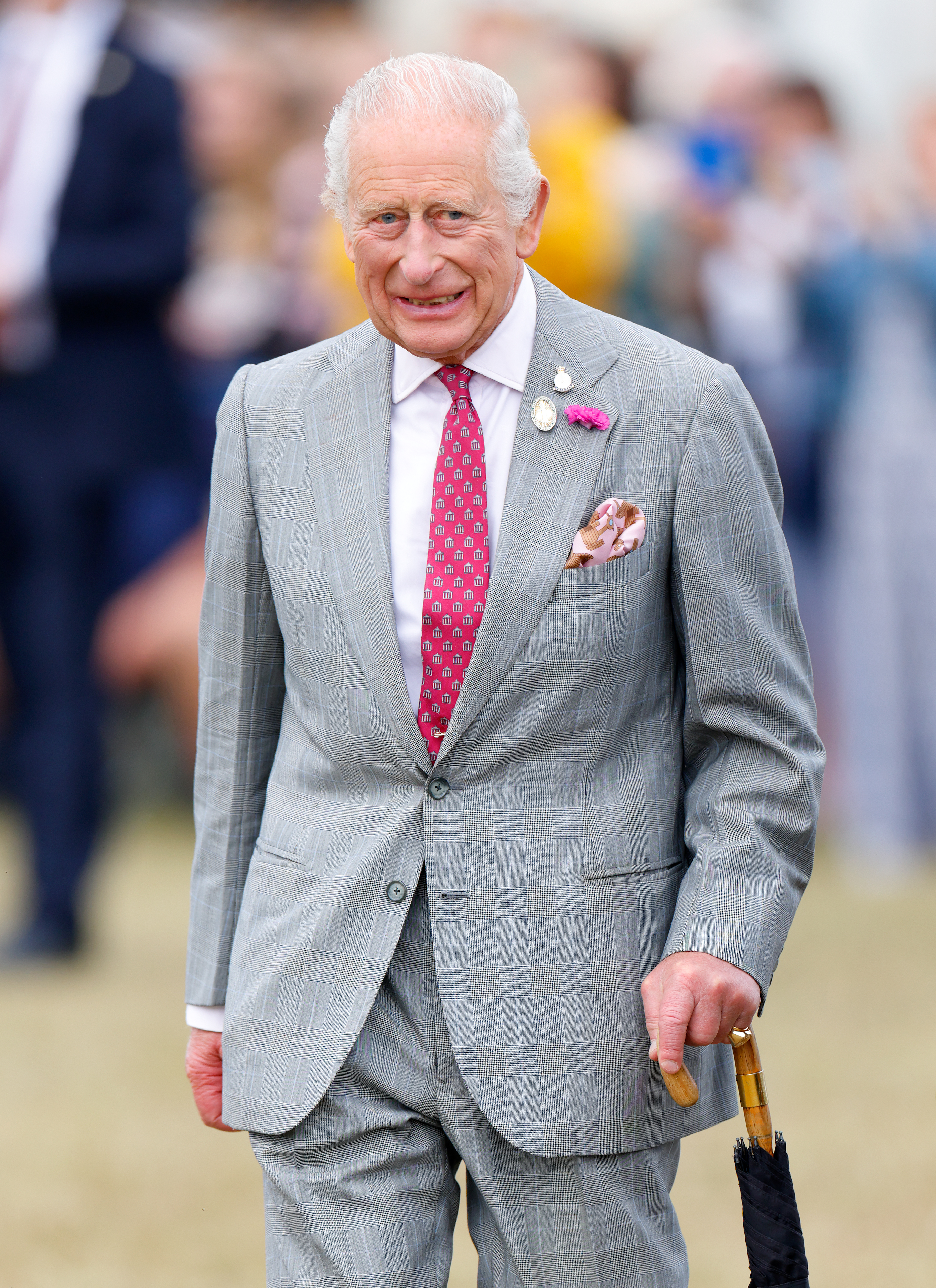 King Charles wearing a gray suit and pink tie