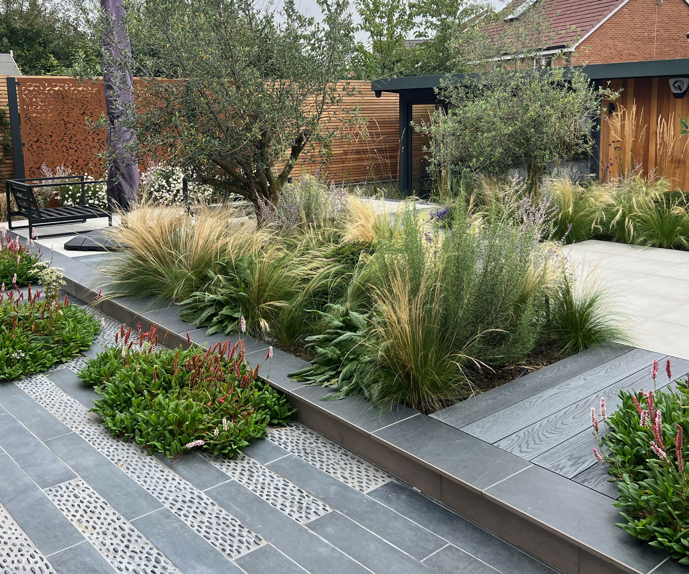 modern patio design with raised bed of ornamental grasses, olive trees, persicaria and garden furniture
