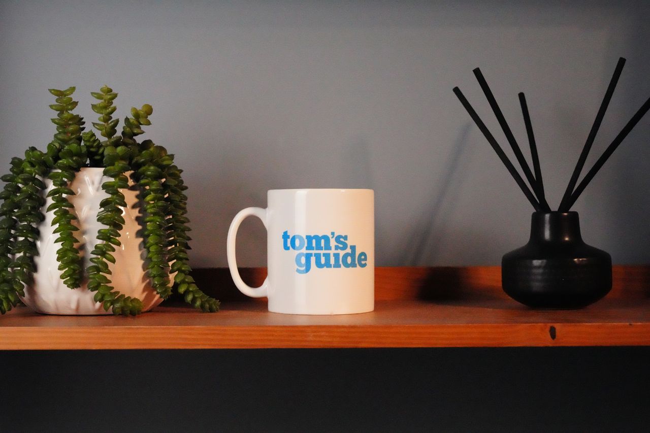 A photo of a Tom's Guide mug with a plant and scent diffuser on each side, demonstrating the ISO performance of the Sony A7CR
