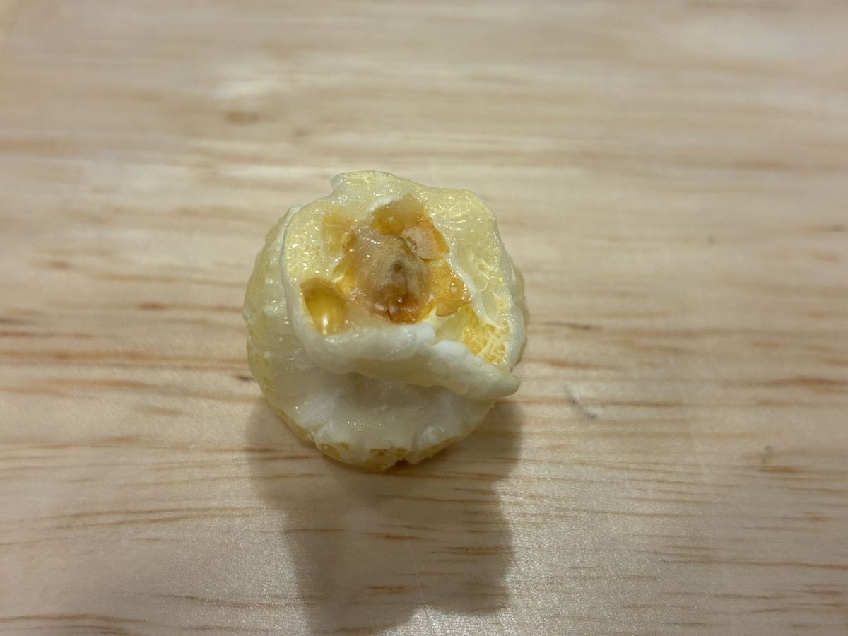 Apple iPhone 16e macro sample.