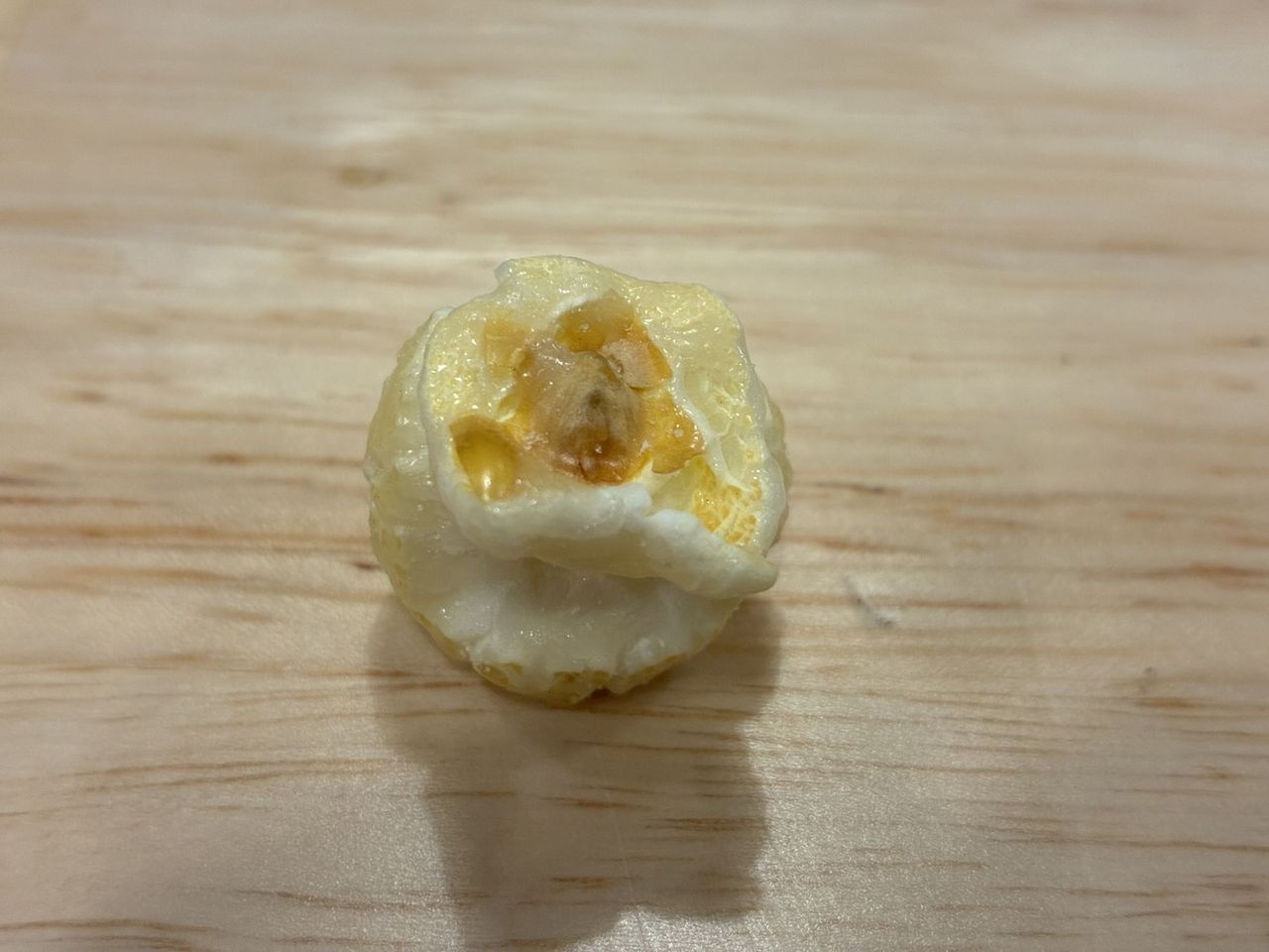 Apple iPhone 16e macro sample.