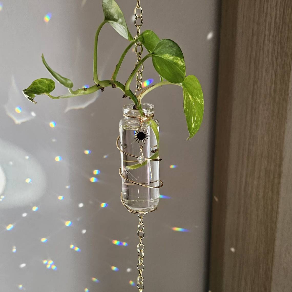 Propagation vase with suncatcher