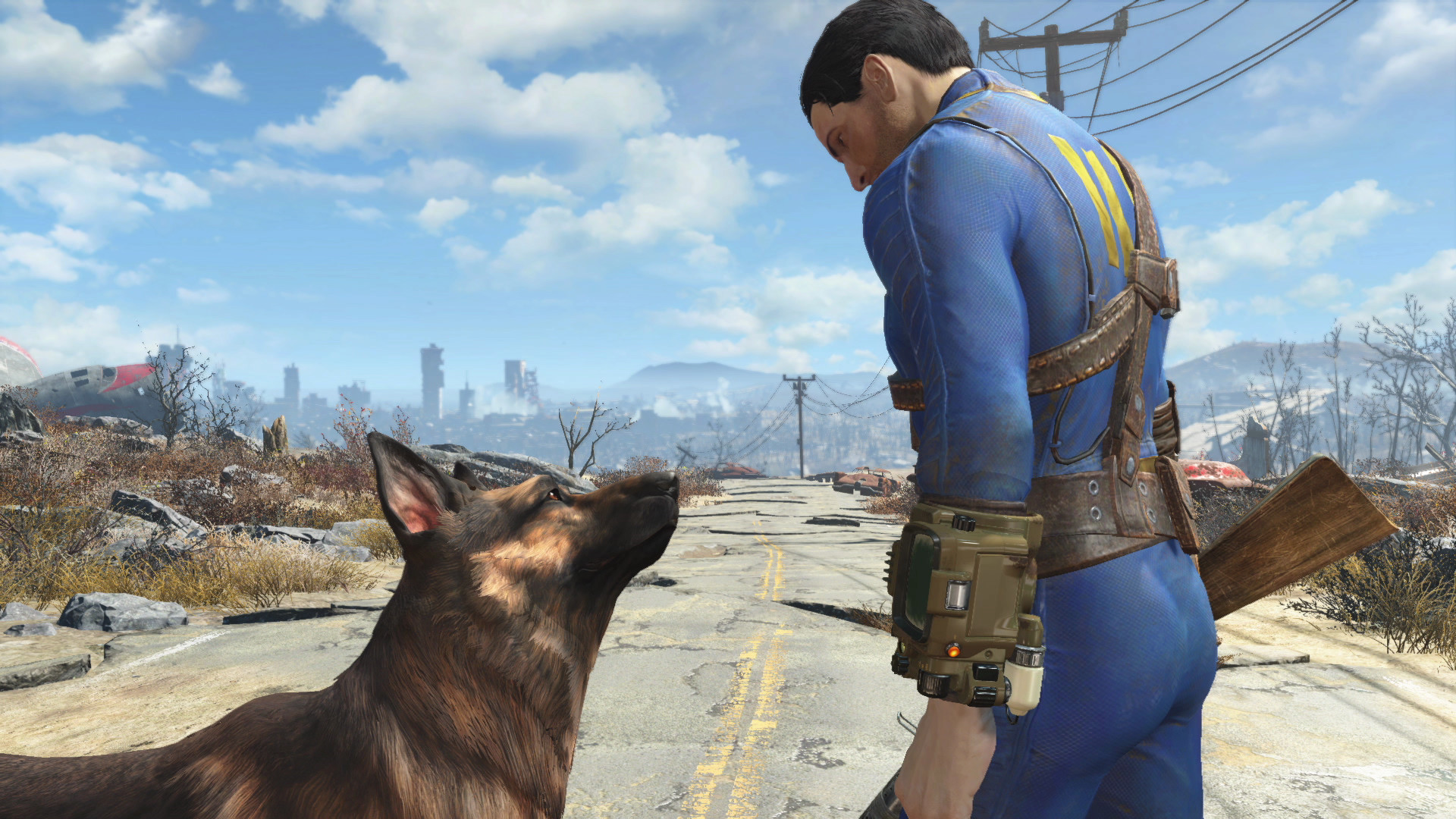 Fallout 4 Vault Dweller looks at dogmeat