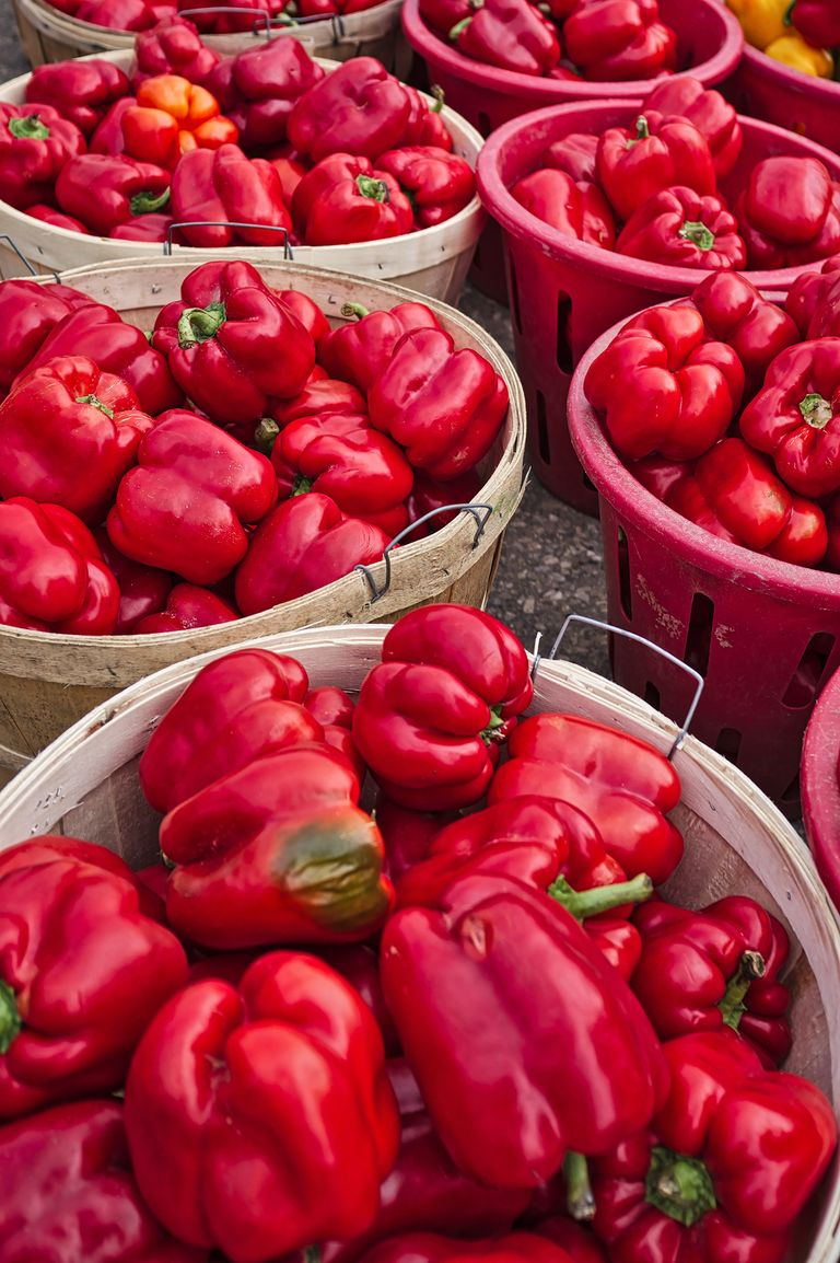 Pepper companion planting best plants to grow with peppers Homes