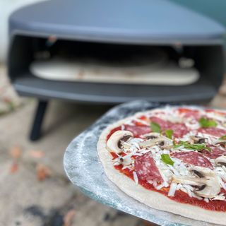 witt pizza oven with pizza