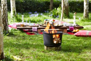 Fire pit on a backyard lawn with a picnic