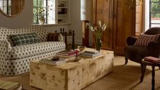 Small cozy living room with burl wood coffee table and patterned sofa