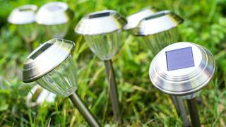 Solar lights in grass