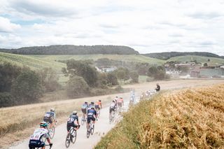 The peloton during stage 9 of the Tour de France