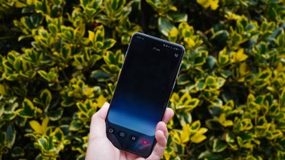 Using Google Gemini in my garden