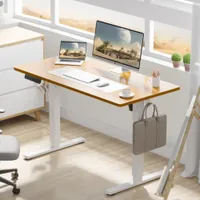 Koree Standing &amp; Height-Adjustable Desk |Was $350.00