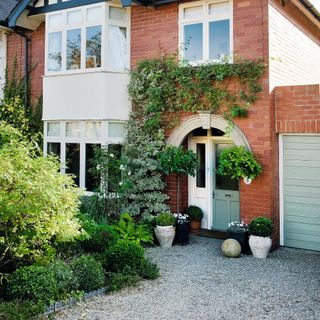 front of house with climbing plants