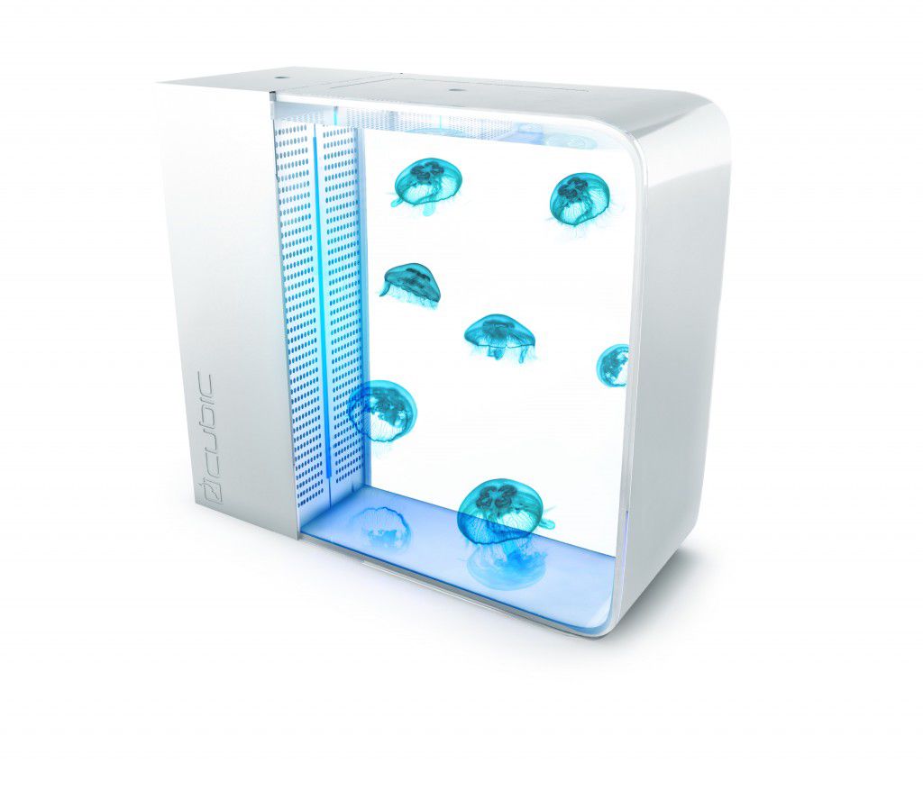  Pulse 80 Jellyfish Aquarium