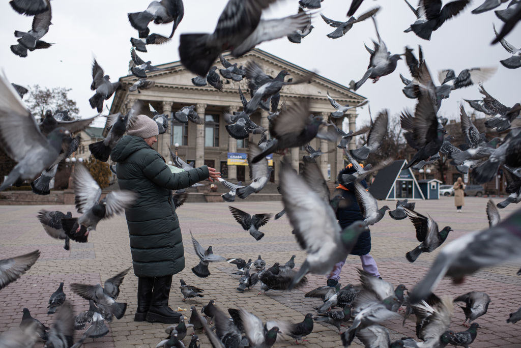 A woman feeds pigeons in Ternopil, Ukraine. Russia claims the U.S. is training migratory birds to attack Russian targets.